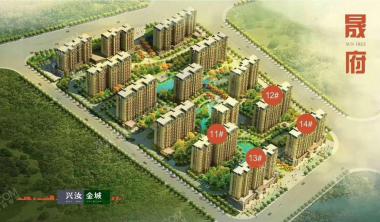 兴汝金城