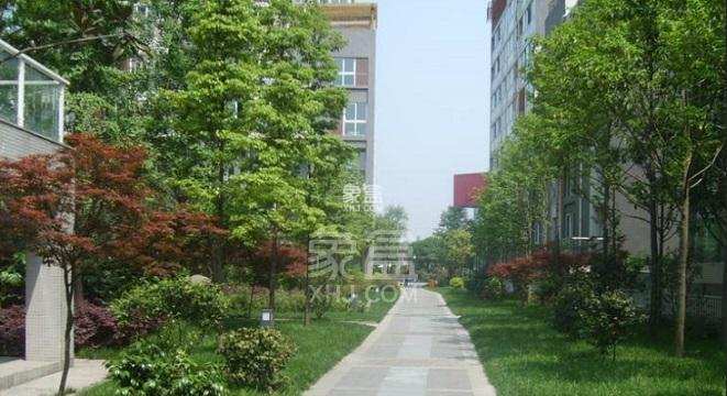 太禾水晶城 太禾水晶城室内图2