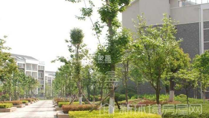 盘龙水岸沁园 盘龙水岸沁园室内图2