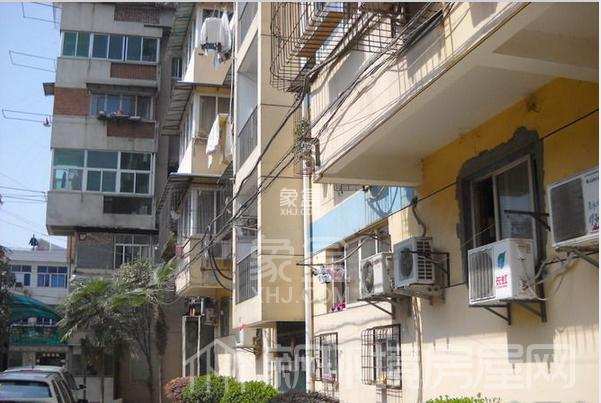 宝岛之星 宝岛之星室内图2