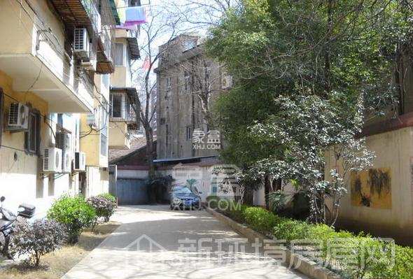 宝岛之星 宝岛之星室内图2