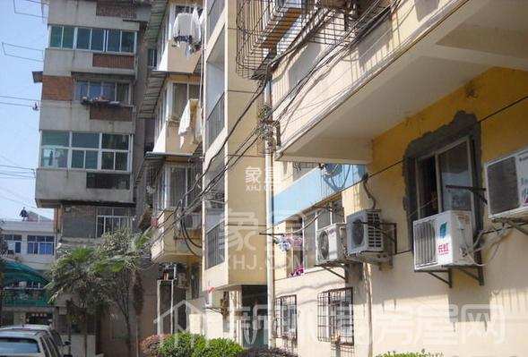 宝岛之星 宝岛之星室内图2