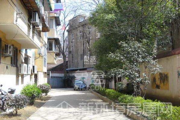 宝岛之星 宝岛之星室内图2