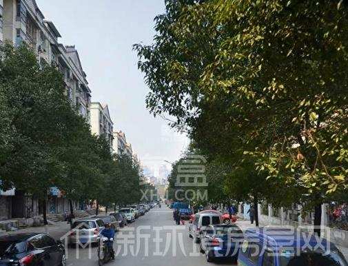 七里二村 七里二村室内图2