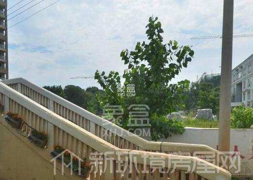 珞南雅居 珞南雅居室内图2