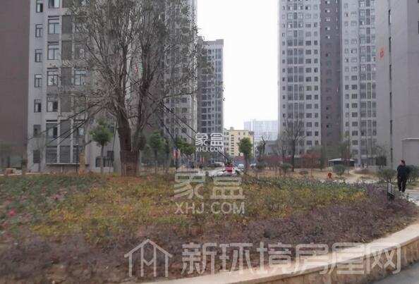 南湖新城家园 南湖新城家园室内图2