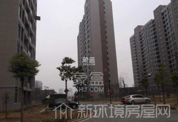 南湖新城家园 南湖新城家园室内图2