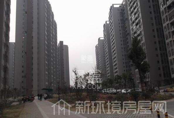 南湖新城家园 南湖新城家园室内图2