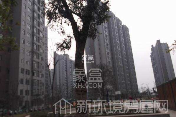 南湖新城家园 南湖新城家园室内图2