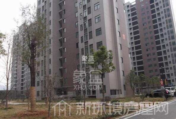 南湖新城家园 南湖新城家园室内图2