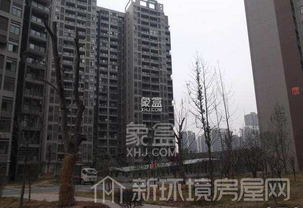 南湖新城家园 南湖新城家园室内图2