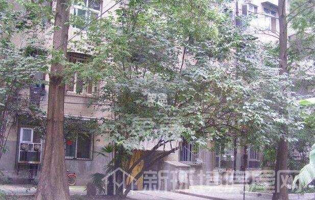 华美小区 华美小区室内图2