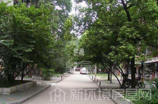 华美小区 华美小区室内图2