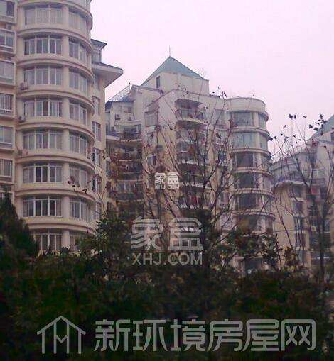 尚隆地球村 尚隆地球村室内图2