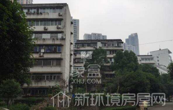 十亩地小区 十亩地小区室内图2