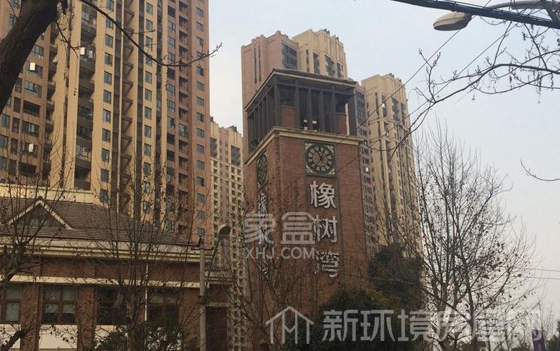 华润置地橡树湾室内图2