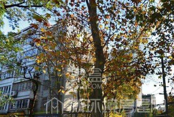 黄鹂小区 黄鹂小区室内图2