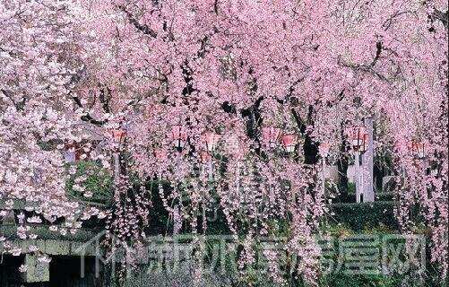 东湖庭园 东湖庭园室内图2