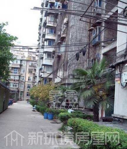 紫晋公寓 紫晋公寓室内图2