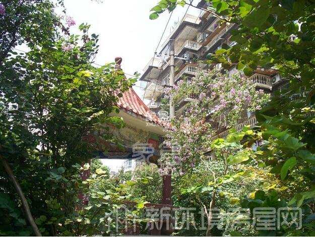 颐和苑 颐和苑室内图2