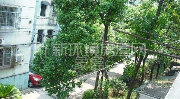 牛婆塘社区 牛婆塘社区室内图2