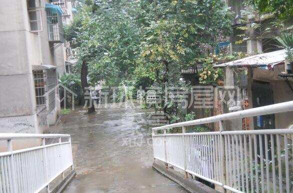 荷花村 荷花村室内图2