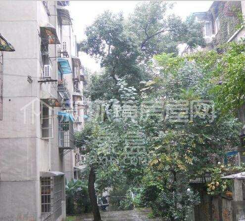 荷花村 荷花村室内图2