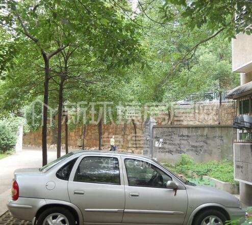 荷花村 荷花村室内图2