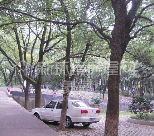 荷花村 荷花村室内图2