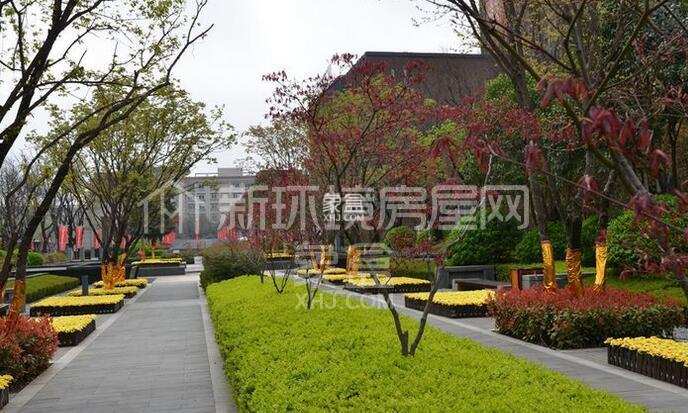 万科城一、二期 万科城一、二期室内图2