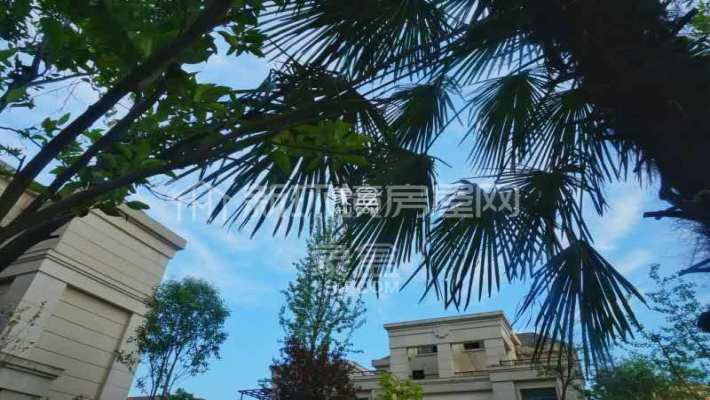 卢浮原著 卢浮原著室内图2