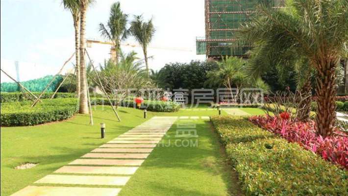 海棠中央 海棠中央室内图2