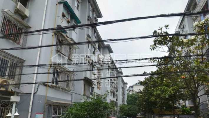 新民路学堂坡 新民路学堂坡室内图2