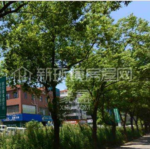 马王堆灯饰布艺城 马王堆灯饰布艺城室内图1