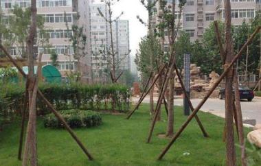 武警小区