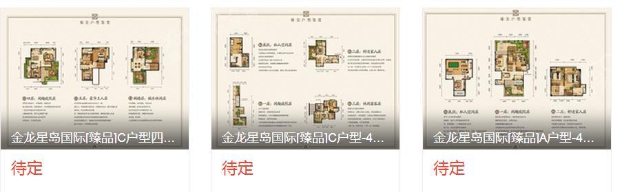 金龙星岛国际户型图
