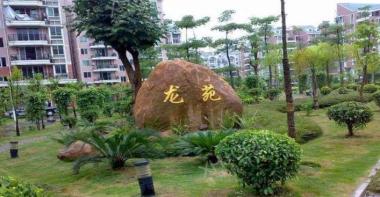 桂苑金山国际广场