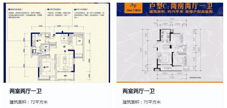 万科大都会户型图