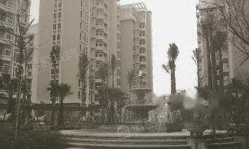 金弘泰