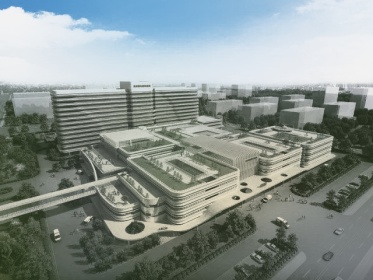 东新高地