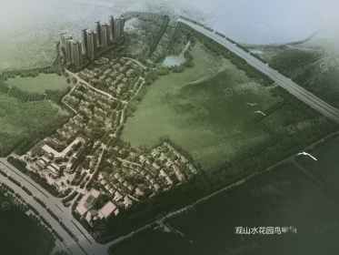 华发观山水