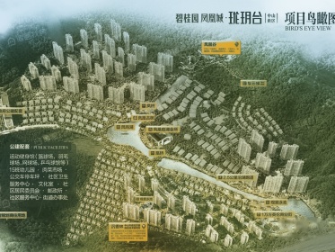 中山碧桂园凤凰城