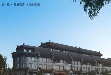 北平街皇家商城商铺