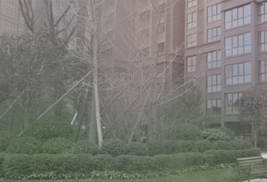 锦丽花语
