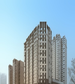 中央领域