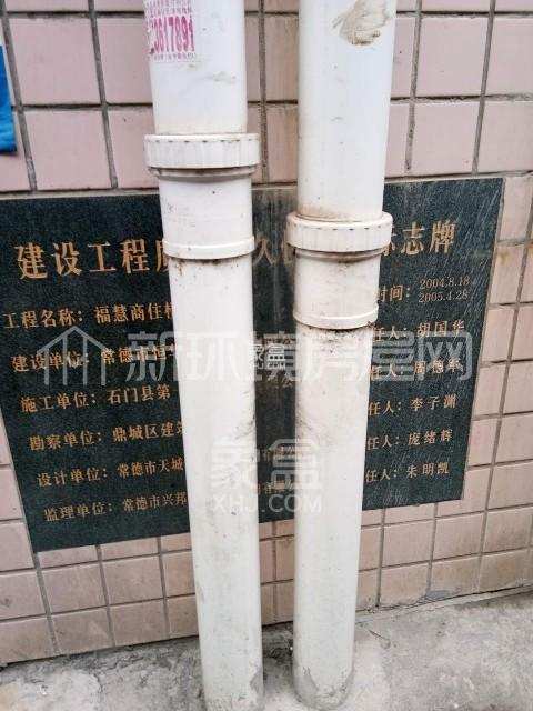 福慧公寓 福慧公寓室内图2