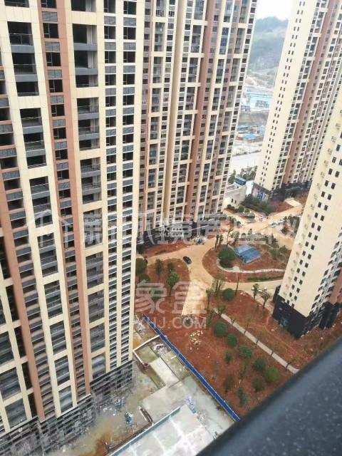 百弘学府城  2室1厅1卫    1600.0元/月 百弘学府城  2室1厅1卫    1600.0元/月小区图