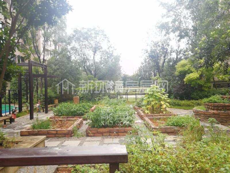 正荣财富中心 3室2厅2卫 2000.0元/月 正荣财富中心 3室2厅2卫 2000.0元/月小区图