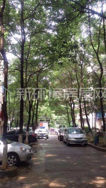 邮电新村 3室2厅2卫 61.80万 邮电新村 3室2厅2卫 61.80万小区图