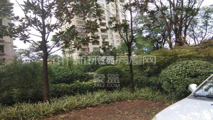 纳帕溪谷金源 纳帕溪谷金源室内图2